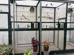 Vogels Hokken en kooien, Ophalen, Gebruikt, Aluminium, Volière