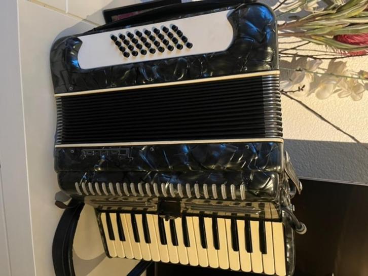 Accordeon Parrot, Muziek en Instrumenten, Accordeons, Gebruikt, Toetsaccordeon, Overige merken, Met koffer, Met riemen, Ophalen