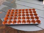 Zaai/stektray 40 vaks, Tuin en Terras, Kweekspullen, Ophalen, Zo goed als nieuw, Kweekbak