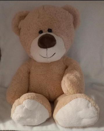 Roderick 🐻 beschikbaar voor biedingen