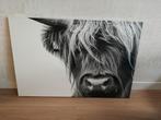 Canvas foto schilderij schotse hooglander 105cm x 70,5 cm, Ophalen