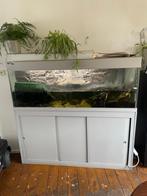 Aquarium -  kast, Ophalen of Verzenden, Zo goed als nieuw, Terrarium of Paludarium