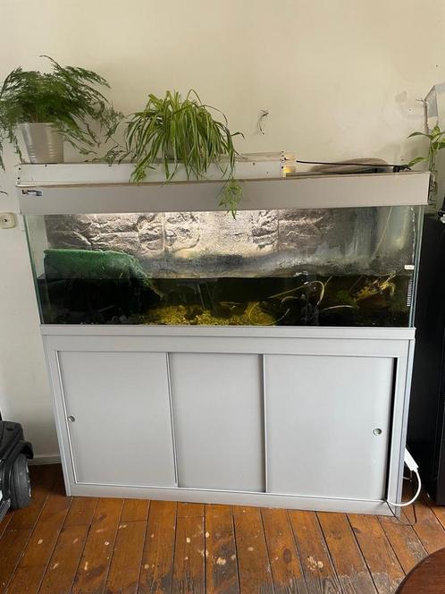 Aquarium -  kast, Dieren en Toebehoren, Reptielen en Amfibieën | Toebehoren, Zo goed als nieuw, Terrarium of Paludarium, Ophalen of Verzenden