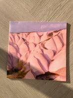 Autechre - Amber, vinyl, Ophalen of Verzenden, Zo goed als nieuw, 12 inch, Disco