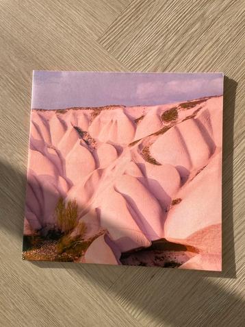 Autechre - Amber, vinyl beschikbaar voor biedingen