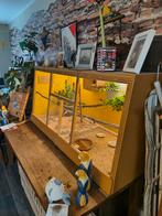 Vogelkooi + Gould's man/vrouw wit/paars borst kan ook kopen, Ophalen