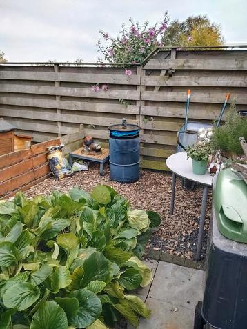 Olievat BBQ - klaar voor een tweede leven! beschikbaar voor biedingen
