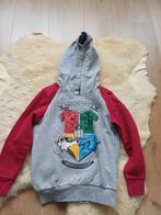 Harry Potter trui maat 122/128 nette staat, Kinderen en Baby's, Harry potter, Trui of Vest, Ophalen of Verzenden, Zo goed als nieuw