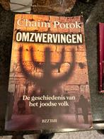 Omzwervingen/ Chaim Potok / de geschiedenis vh joodse volk, Boeken, Ophalen of Verzenden, Zo goed als nieuw
