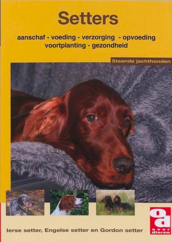 Setters - Anneke Tasseron, Boeken, Dieren en Huisdieren, Nieuw, Honden, Ophalen of Verzenden