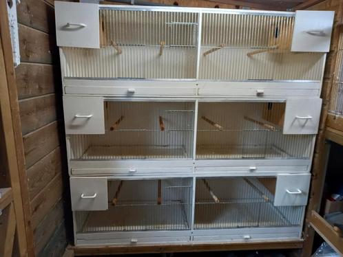 Dubbele broedkooi, Dieren en Toebehoren, Vogels | Hokken en Kooien, Gebruikt, Broedkooi of Kweekkooi, Hout, Ophalen