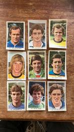 Psv panini Vanderhout 1979-1980, Ophalen of Verzenden, Zo goed als nieuw, PSV, Poster, Plaatje of Sticker