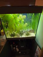 Juwel lido 120, Ophalen, Zo goed als nieuw, Leeg aquarium