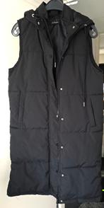 Nieuwe kuitlange bodywarmer Jus de Pom maat M, Ophalen of Verzenden, Nieuw