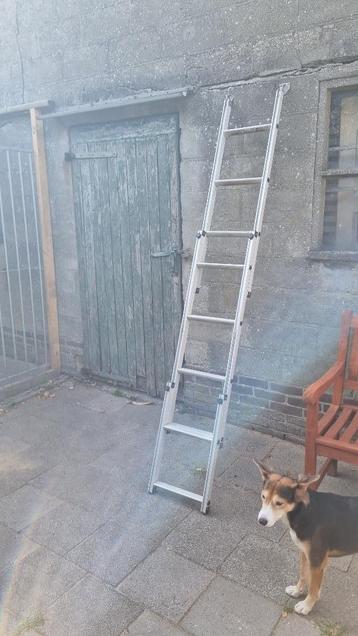 Daktent ladder met verlengstuk 250 cm beschikbaar voor biedingen