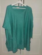 Reinders trui groen, Kleding | Dames, Ophalen of Verzenden, Zo goed als nieuw, Maat 42/44 (L), Groen