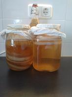Bio Kombucha, scoby (zwam)+starter+ kaasdoek+ alle uitleg, Ophalen