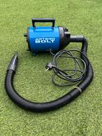 Waterblazer ladradoodle, Dieren en Toebehoren, Ophalen of Verzenden