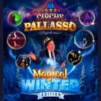 2x Wintercircus Pallasso, datum keuze, Tickets en Kaartjes, Twee personen