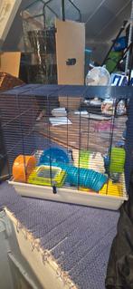 Hamster/ratjes kooi, Dieren en Toebehoren, Kooi, Minder dan 75 cm, Hamster, Ophalen