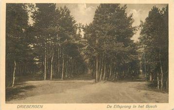 (381-052-009) Driebergen De Elfsprong in het Bosch beschikbaar voor biedingen