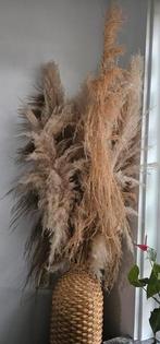 Vaas met pampas decoratie, Ophalen, Zo goed als nieuw