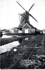 (ZS173) Ansichtkaart Tanger nr.173 molen Zaandam Zeemeeuw, Noord-Holland, 1960 tot 1980, Ongelopen, Verzenden