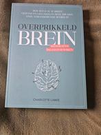 Overprikkeld Brein - Charlotte Labeé, Boeken, Ophalen of Verzenden