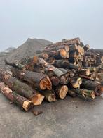 Boomstammen loofhout, Tuin en Terras, Haardhout, Ophalen of Verzenden, Overige houtsoorten, Blokken