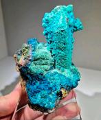 Ruwe zeldzame Chrysocolla pseudo Quartz.  Peru, Ophalen of Verzenden, Mineraal