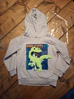 Trui / hoodie jongen maat 122 128, Ophalen of Verzenden, Zo goed als nieuw, Jongen, Trui of Vest