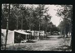 Hoeven - Camping Hoeven [003-3900, Verzenden, 1940 tot 1960, Gelopen, Noord-Brabant