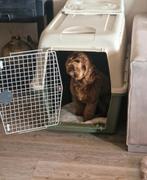 Super mooi stevige honden benche., Dieren en Toebehoren, Ophalen