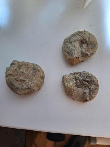 3 Interessante Fossielen beschikbaar voor biedingen
