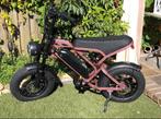 Fatbike pro v20  of Fatbike Mini v20 (nieuwste model), Nieuw, 59 cm of meer, 50 km per accu of meer, Ophalen
