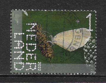 2022, Sint-Pietersberg, Boswitje [4038] (K1236) beschikbaar voor biedingen