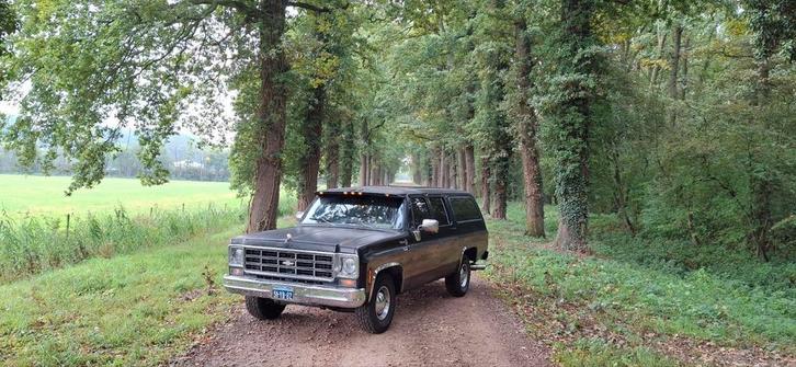 Chevrolet Suburban 5.7 Custom L 10 AUT 1974 Beige, Auto's, Chevrolet, Particulier, Suburban, Centrale vergrendeling, Isofix, Trekhaak