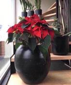 Grote bloempot vaas zwart terracotta bol handwerk 36cm, Tuin en Terras, 25 tot 40 cm, Gebruikt, Rond, Binnen