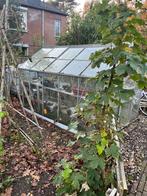 kas 190 x 310 x 190, Tuin en Terras, Kassen, Ophalen, Gebruikt, Kweekkas, Glas