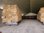 Hooi/stro losse pakjes en in bundels, Dieren en Toebehoren, Dierenvoeding, Ophalen of Verzenden, Vee