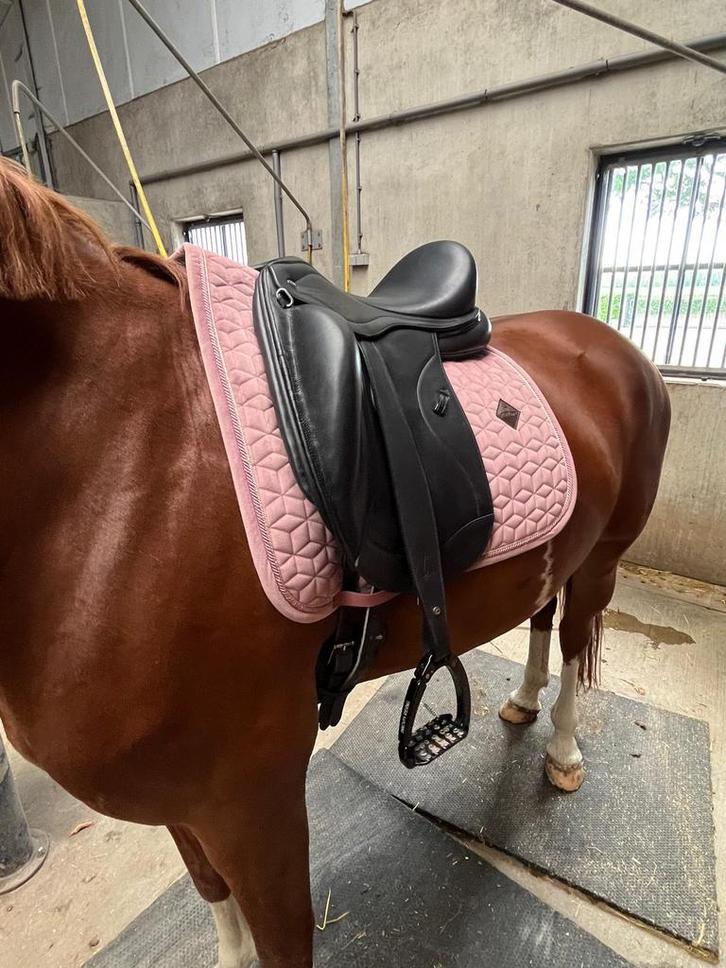 Ikonic dressuur zadel maat 17.5, Dieren en Toebehoren, Paarden en Pony's | Zadels, Zo goed als nieuw, Dressuur, Ophalen