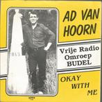 Vinylsingles ad van hoorn / ad & karin gezocht, Cd's en Dvd's, Ophalen of Verzenden, Zo goed als nieuw, Overige formaten, Levenslied of Smartlap