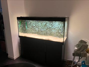 Juwel rio 450 compleet 2x extern eheim filter beschikbaar voor biedingen