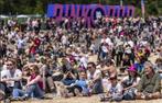 Pinkpop vrijdag - Gezocht, Tickets en Kaartjes, Eén persoon