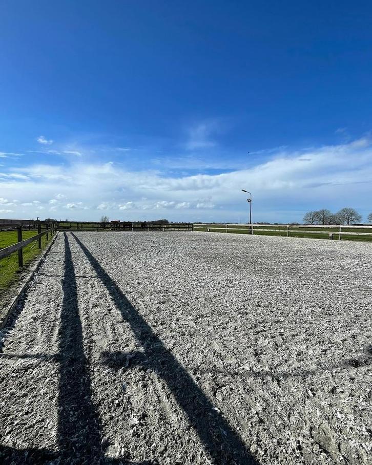 Stal beschikbaar Bodegraven, Dieren en Toebehoren, Stalling en Weidegang, Stalling, Weidegang, Toebehoren, 1 paard of pony