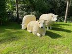 (Tuin)Beeld texel schapen, 3 stuks tuin, boerderij, gazon, Tuin en Terras, Ophalen, Nieuw, Kunststof, Dierenbeeld