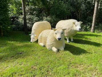 (Tuin)Beeld texel schapen, 3 stuks tuin, boerderij, gazon beschikbaar voor biedingen