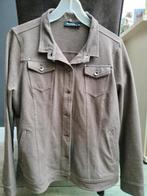 Nieuw Witteveen Jasje Bruin Maat L, Kleding | Dames, Bruin, Maat 42/44 (L), Nieuw, Ophalen of Verzenden