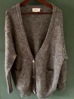 American Vintage vest, Ophalen of Verzenden, Zo goed als nieuw, Maat 38/40 (M)