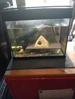 Aquarium super fisfh, Dieren en Toebehoren, Ophalen, Gebruikt, Leeg aquarium